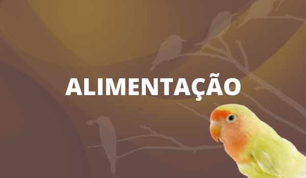 Alimentação