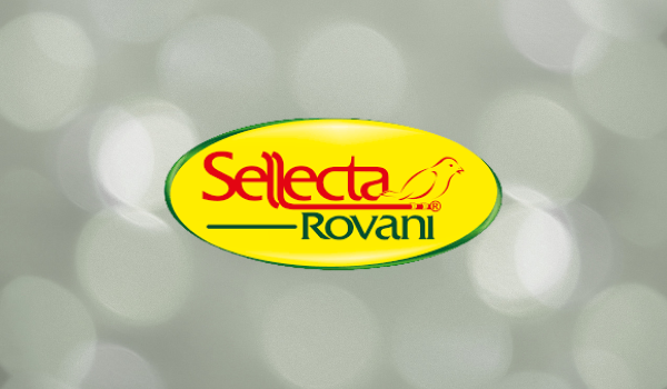 Sellecta Rovani